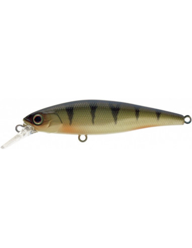 illex Squad Minnow 65SP, Fb.: SP Perch