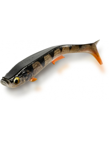 Quantum Tarp Shad 19 cm, Fb.: Real Perch