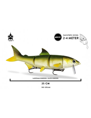 Fishing Ghost RenkyOne 25 cm / 180 g./ Fb.:...