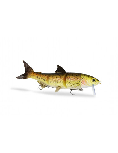 Fishing Ghost RenkyOne 25 cm / 180 g./ Fb.: Trout Costume