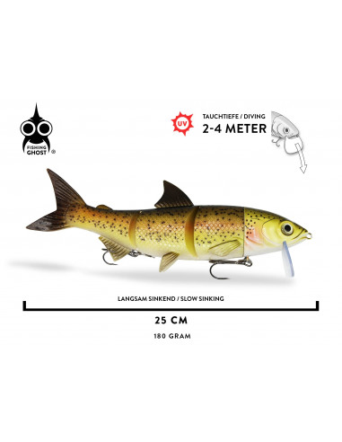 Fishing Ghost RenkyOne 25 cm / 180 g./ Fb.:...