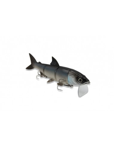 Fishing Ghost RenkyOne 25 cm / 180 g./ Fb.::...