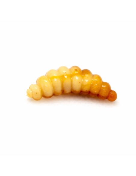 Ultimate Trout Lures BigMac 2,8 cm Bienenmade, Fb.: El Caramel