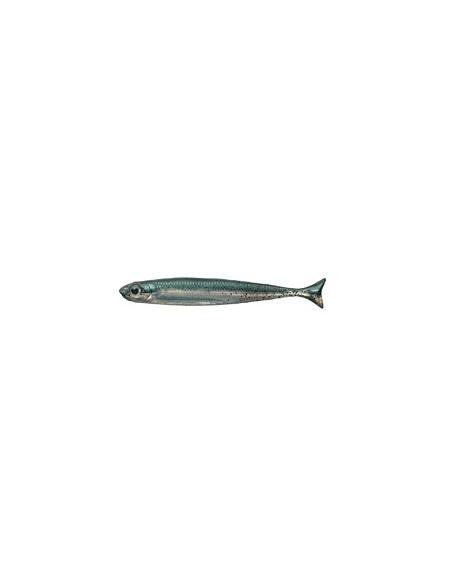 Fish Arrow Flash-J Huddle 3", Fb.: 03 Neon Green/Silver