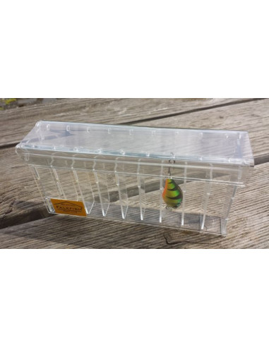 Falkfish SP Selected Small Single Lure Box Minnow Köderbox