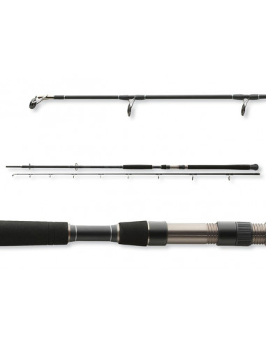 Daiwa Exceler CATFISH 2,70 m / WG 200-600 g.