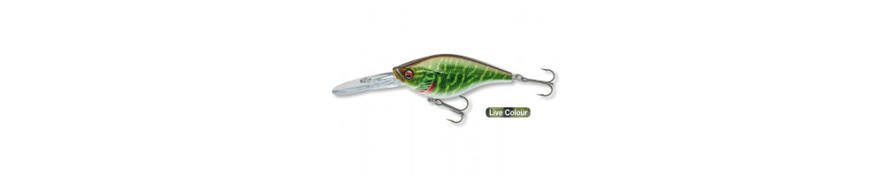 Prorex Crankbait F-DR