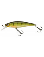 Squad Minnow 65SP