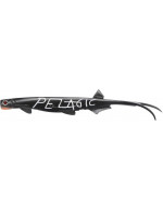 Pelagic Shad