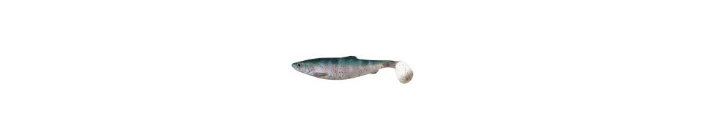 LB Herring Shad