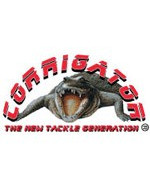 Corrigator