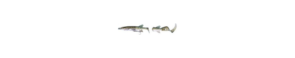 3D Hybrid Pike