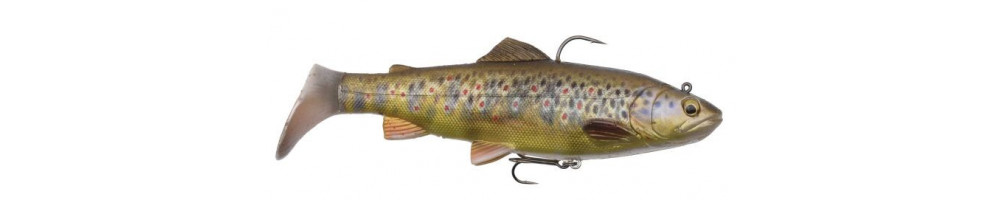 4D Trout Rattle Shad